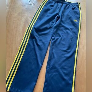 Adidas Navy Pants with Gold Stripes